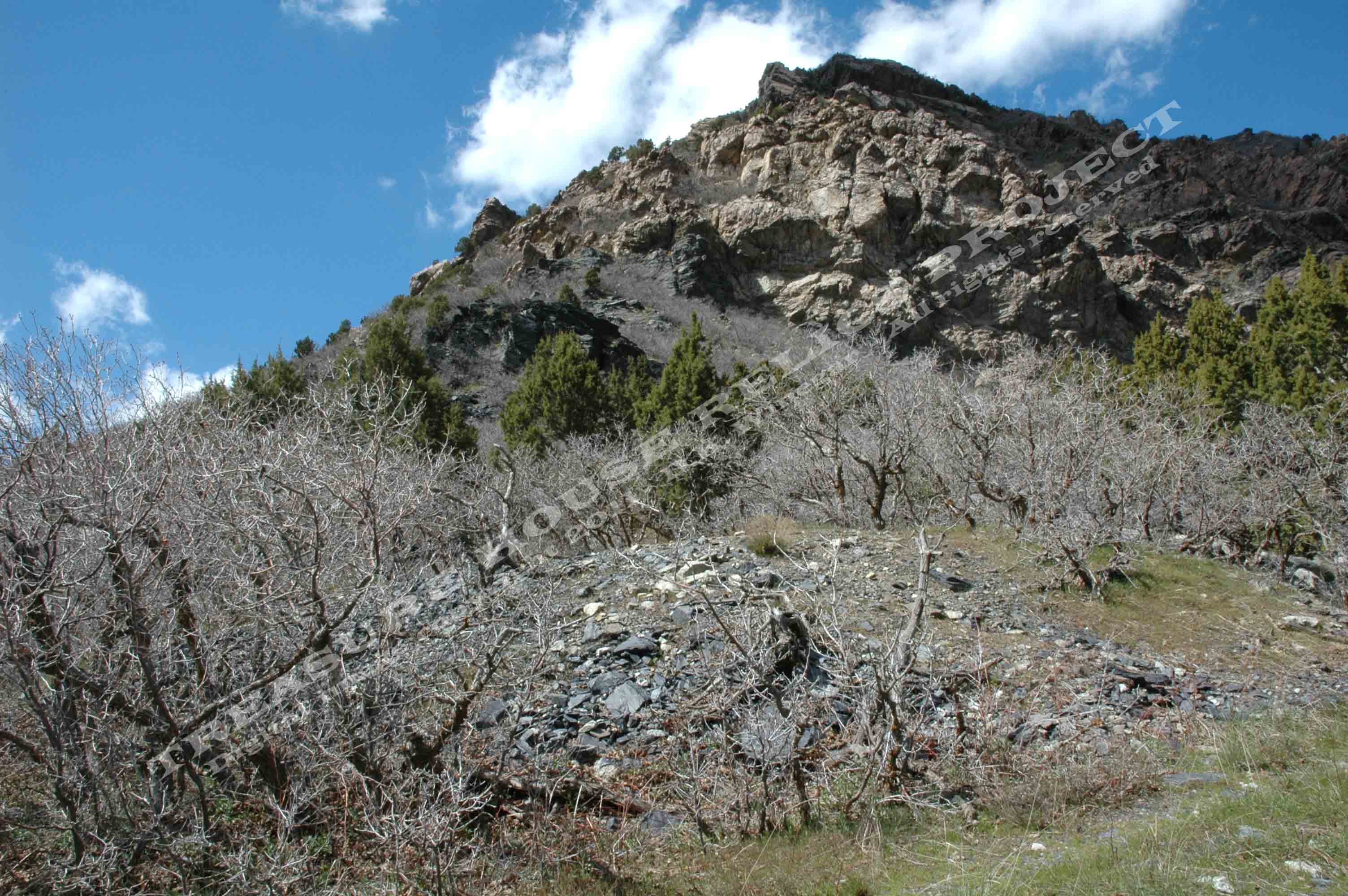 TAVACI_MINE_2_DSC_0610_emboss.jpg